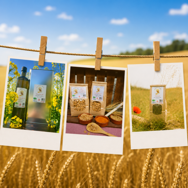 Grand Concours Photos