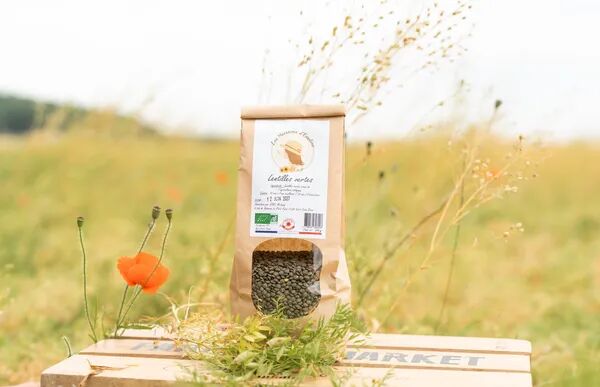 Lentilles vertes Bio 